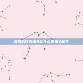 属猪的妈妈适合生什么属相的孩子，生什么属相的孩子好