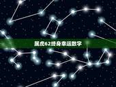 属虎62终身幸运数字，1962年属虎幸运颜色