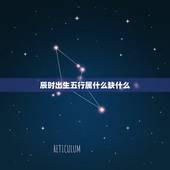 辰时出生五行属什么缺什么，属猪金命五行缺什么