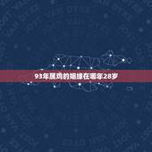 93年属鸡的姻缘在哪年28岁，1993年属鸡注定坎坷