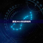 属鼠2022年运势如何 96年属鼠2022年运势如何