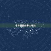 今年属鼠的多大年龄，属牛的今年多大2022 年