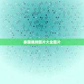 泰国佛牌图片大全图片，泰国佛牌可以随便戴吗