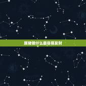 属猪做什么最容易发财，属猪2022 年烂桃花