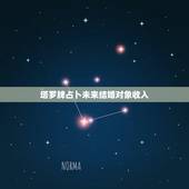 塔罗牌占卜未来结婚对象收入，塔罗牌占卜未来的事业和爱情会怎样