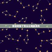 家进老鼠了怎么让老鼠消失，家里有老鼠怎么赶走