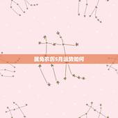 属兔农历5月运势如何，属兔男1987年农历五月初三生，已婚农历十一月感