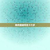 我的姻缘死在十六岁，哦我的毛我肌肉 歌词