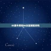 85属牛男和96女鼠婚配好吗，男97年属牛女96年属鼠婚配好不好