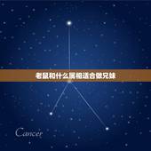 老鼠和什么属相适合做兄妹，十二生肖中谁的兄妹多