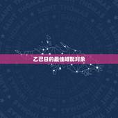 乙己日的最佳婚配对象，乙巳年女与庚申年男可否婚配 ？谢谢！