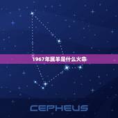 1967年属羊是什么火命，属羊与属狗的明星夫妻