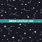 属相相害八字合可以在一起吗，属相相害但星座相合的人在一起好吗