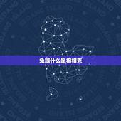 兔跟什么属相相克，生肖兔一生的贵人是谁