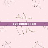 十全十美最好找什么属相，十全十美最好找是什么意思指那个生肖