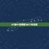 87兔91羊婚配2021年运势，87年属兔女2021年全年运势