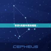 农历5月属牛男的婚配，属牛的找什么属相的对象最好