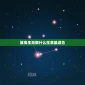 属兔生肖做什么生意最适合，做生意老板属兔和什么属相的最好