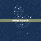 属蛇与属鼠的合不合，属蛇与属鼠相配吗