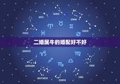 二婚属牛的婚配好不好，属羊和属牛二婚怎么样？