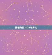 属相兔的2021年多大，2021年属兔的多大年龄？