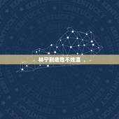 林宁到底姓不姓温，一部小说，以前看的，主角应该叫林宁吧，还成立了一个主