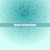 属兔的今年运势和婚姻，属兔农历六月二十八2012年运势及婚姻男性