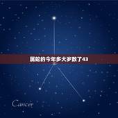属蛇的今年多大岁数了43，属蛇的今年多少岁