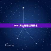 2021男士旺运旺财网名，2021旺财旺运微信名字