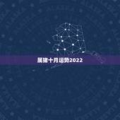 属猪十月运势2022，属猪十月运势如何