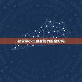 老公带小三睡我们的卧室好吗，昨晚发现老公把小三带回家了就在我的卧室那个