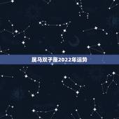 属马双子座2022年运势，属马人今年运势2021年每月运势