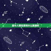 属牛人做生意和什么属相好，属牛和属牛合伙做什么生意好？