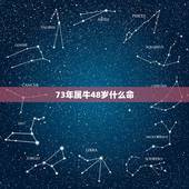 73年属牛48岁什么命 48岁属牛的是什么命