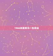 1966年属男马一生命运，1966年5月的马与1972年10月的鼠结婚