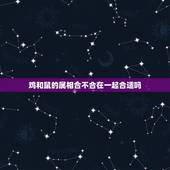 鸡和鼠的属相合不合在一起合适吗，属鸡和属鼠的合的来吗？