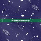 狗与兔属相婚配合不合，属狗和属兔的合不合