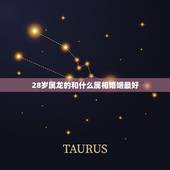 28岁属龙的和什么属相婚姻最好，属龙和什么属相最好