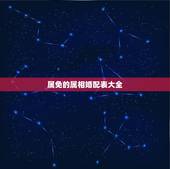 属免的属相婚配表大全，男属兔的属相婚配表