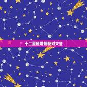 十二星座婚姻配对大全，十二星座配对
