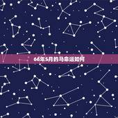 66年5月的马命运如何，1966年5月8日的马，命运如何？