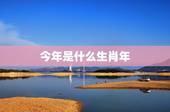 今年是什么生肖年，今年是什么生肖年