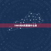 1995年8月属猪什么命，1995年8月8日生的人 星座解析