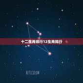 十二生肖排行12生肖排行，十二生肖排行表