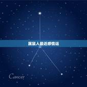 属鼠人最近感情运，属鼠在2022 下半年婚姻如何