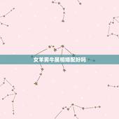 女羊男牛属相婚配好吗，男属牛女属羊相配吗