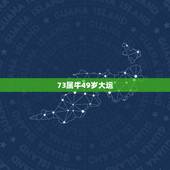 73属牛49岁大运，73属牛48岁大运女命农历出生晚上一点多牛