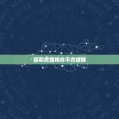 鼠和虎属相合不合婚姻，98年的女虎是否克96年的男鼠，老妈说，我们村里