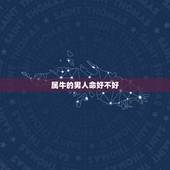 属牛的男人命好不好，属牛的男孩更佳婚配