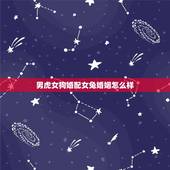 男虎女狗婚配女兔婚姻怎么样，男虎女狗婚配可以吗